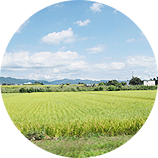 長野イメージ